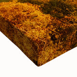 Black and white stretched canvas of Arkansas scenery, ideal for kitchen wall art or bedroom ambiance.