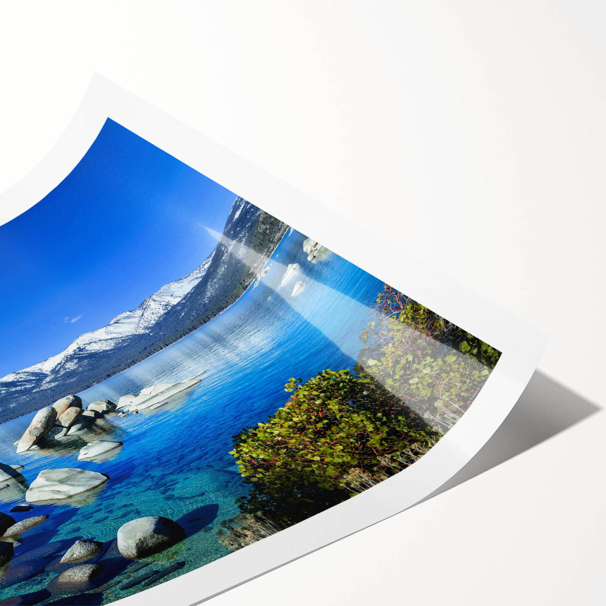 Extra large rolled print of Lake Tahoe with line art flowers in soft pastel shades, ideal for large living room wall art.