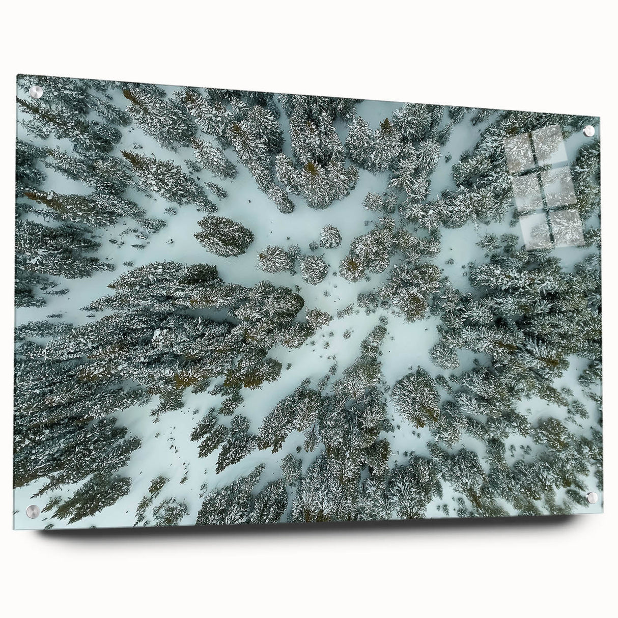 Acrylic print of a Colorado landscape featuring lush greenery and mountains, ideal for dining room decor.
