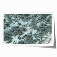 Rolled print of Vail, Colorado scenery with floral elements in soft earth tones, ideal for art wall dining room.