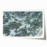 Rolled print of Vail, Colorado scenery with floral elements in soft earth tones, ideal for art wall dining room.