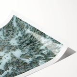 Extra large rolled print of line art flowers in muted earth tones, suitable for large living room wall art.