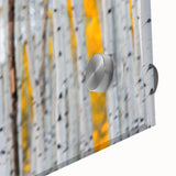 Acrylic print of a large abstract depiction of Aspen, Colorado in muted earth tones, ideal for dining room art.