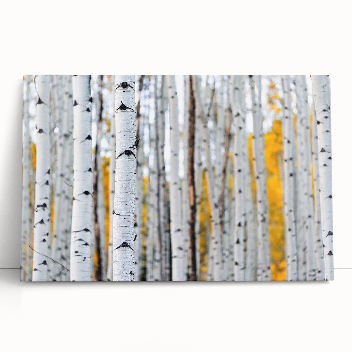 Black and white stretched canvas featuring a serene Aspen, Colorado scenery, ideal for kitchen wall art.