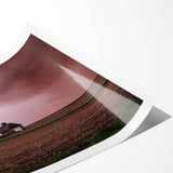 Extra large rolled print featuring line art flowers in muted earth tones, perfect for large living room wall art.