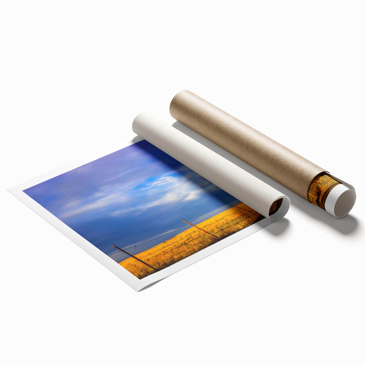 Extra large rolled print depicting vibrant floral scenery, ideal for classy bathroom or large living room decor.