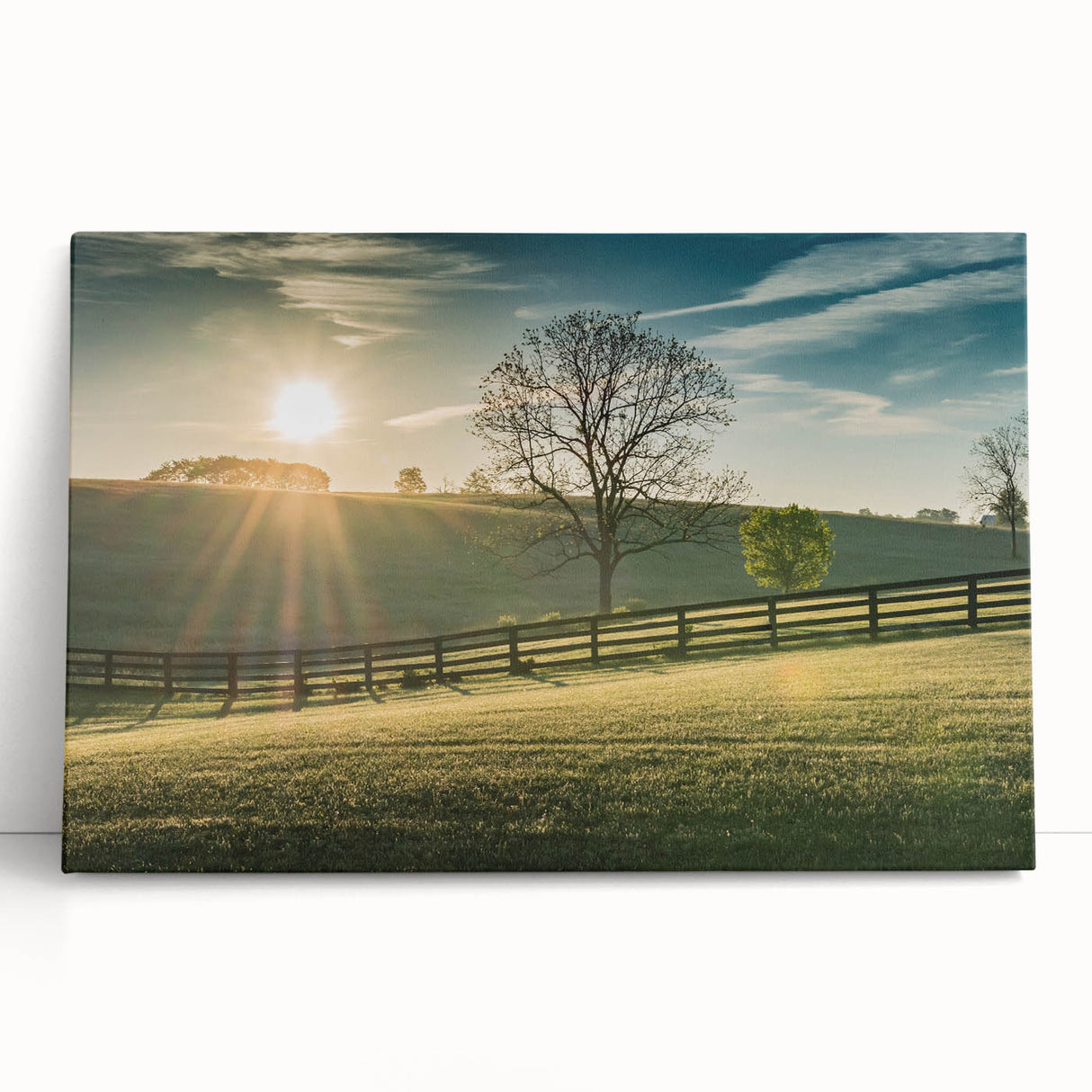 Black and white photograph of Kentucky scenery on large stretched canvas, ideal for kitchen wall art or bedroom ambiance.