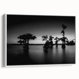 Vintage poster art of Louisiana scenery on framed canvas, featuring colorful artwork against a black background.