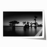 Rolled canvas print of Louisiana scenery with soft floral designs in muted earth tones, ideal for dining room wall art.