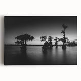 Black and white photo of Louisiana scenery on large stretched canvas, suitable for kitchen wall art.