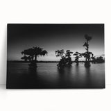 Black and white photographic print of a Louisiana bayou on stretched canvas, ideal for kitchen wall art.