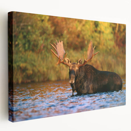 Scenic New Hampshire landscape on stretched canvas, featuring lush greenery and tranquil lake, suitable for kitchen wall art.