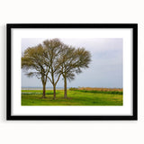 Abstract art print of the Outer Banks with vibrant, colorful textures on a large framed canvas.