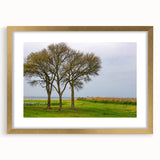 Extra large abstract art print of the Outer Banks in North Carolina.