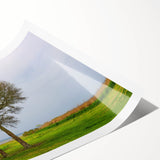 Extra large rolled print of line art flowers in muted earth tones, ideal for large living room wall art.