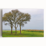 Black and white photograph of the Outer Banks on stretched canvas, suitable for kitchen wall art.