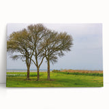 Black and white photo of Outer Banks scenery on stretched canvas, ideal for kitchen wall art.
