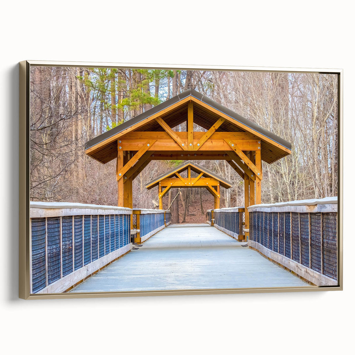 Framed canvas of Raleigh, North Carolina landscape in muted gold and black tones, suitable as wall art for bedroom.