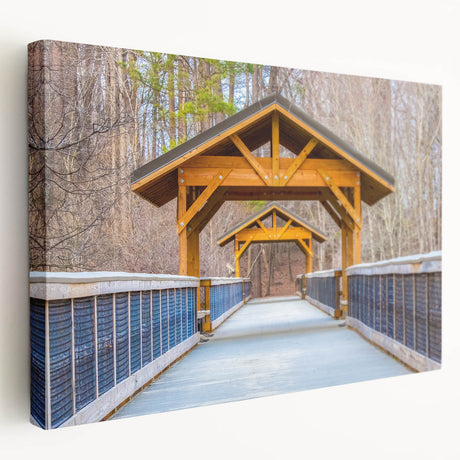 Raleigh, North Carolina cityscape on large stretched canvas with muted earth tones, suitable for kitchen wall art.