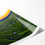 Extra large wall art featuring line art flowers in soft pastel colors on a rolled print, ideal for large living room decor.