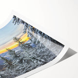 Extra large wall art featuring line art flowers in black on white, rolled print, ideal for large living room wall decor.