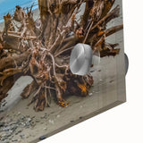 Large abstract wall art of Olympic National Park in muted earth tones on acrylic glass, suitable for dining room ambiance.