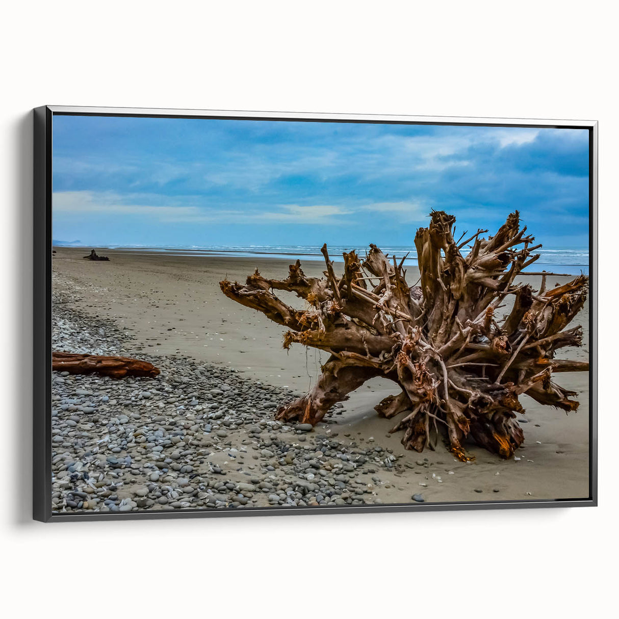 Black and white framed canvas of Olympic National Park landscape, ideal for bedroom wall art.