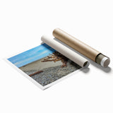 Extra large rolled print of Olympic National Park with lush greenery and mountain backdrop.