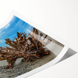 Extra large wall art featuring line art flowers in muted earth tones on a rolled print.