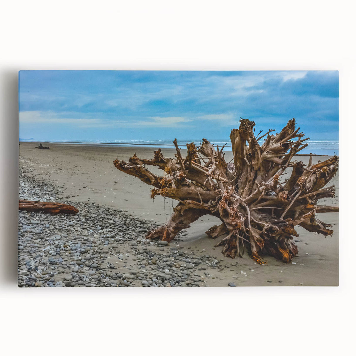 Black and white stretched canvas of Olympic National Park for kitchen wall art, featuring serene forest scenery.