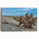 Black and white stretched canvas of Olympic National Park for kitchen wall art, featuring serene forest scenery.