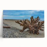 Black and white stretched canvas of Olympic National Park, ideal for kitchen wall art or bedroom ambiance.