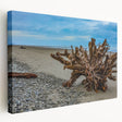 Olympic National Park scenery on large stretched canvas with lush green and blue tones, ideal for kitchen wall art.