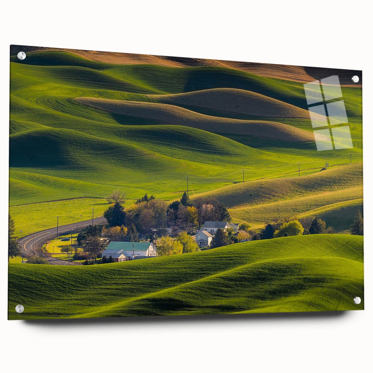 Acrylic print of a sweeping Palouse landscape in subtle green tones, ideal for bedroom or dining room decor.
