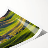 Extra large wall art featuring line art flowers in muted green and brown tones, ideal for large living room decor.