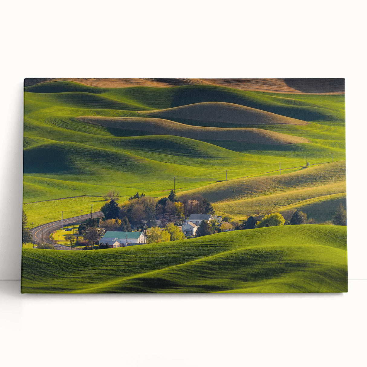 Black and white photograph of Palouse fields on stretched canvas, ideal for kitchen wall art.