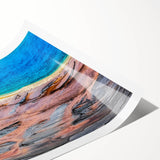 Extra large wall art depicting line art flowers in muted tones on a rolled print, suitable for large living room decor.