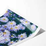 Extra large wall art featuring line art flowers in soft pastel shades on a rolled canvas.