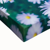 Large art depicting a spring landscape in black and white on stretched canvas, suitable for bedroom wall decor.