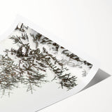 Extra large wall art featuring line art flowers in black and white on a rolled print, suitable for large living room decor.