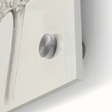 Elegant Artichoke Sketch Living Room Wall Art – Canvas Print