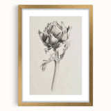 Elegant Artichoke Sketch Living Room Wall Art – Canvas Print