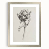 Elegant Artichoke Sketch Living Room Wall Art – Canvas Print