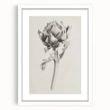 Elegant Artichoke Sketch Living Room Wall Art – Canvas Print