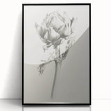 Elegant Artichoke Sketch Living Room Wall Art – Canvas Print