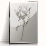 Elegant Artichoke Sketch Living Room Wall Art – Canvas Print