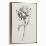 Elegant Artichoke Sketch Living Room Wall Art – Canvas Print