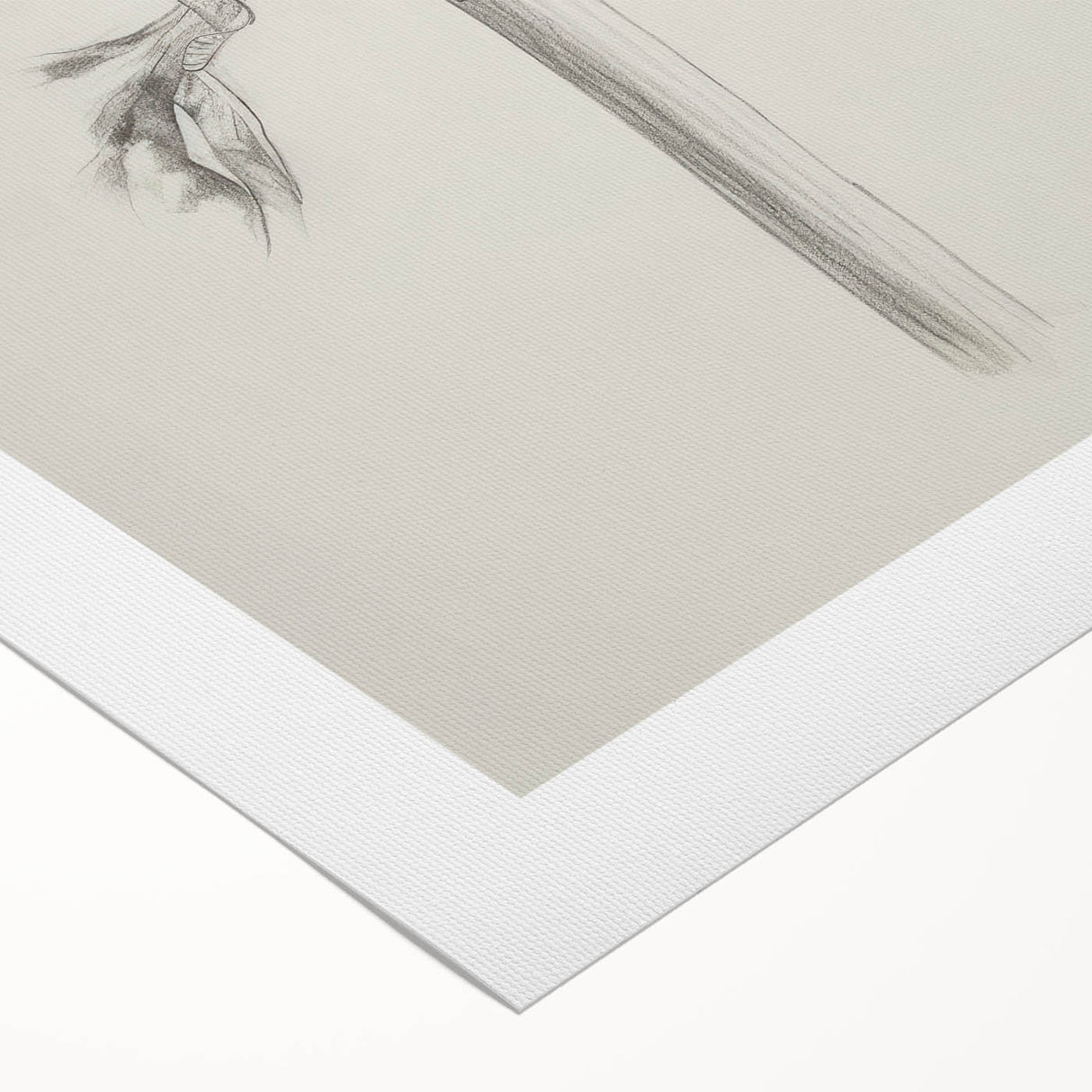 Elegant Artichoke Sketch Living Room Wall Art – Canvas Print