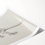 Elegant Artichoke Sketch Living Room Wall Art – Canvas Print