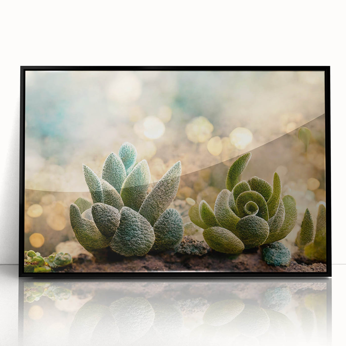 Framed acrylic wall art featuring a vibrant abstract floral design in shades of blue and pink, showcasing intricate patterns against a sleek black frame, perfect for modern home decor.